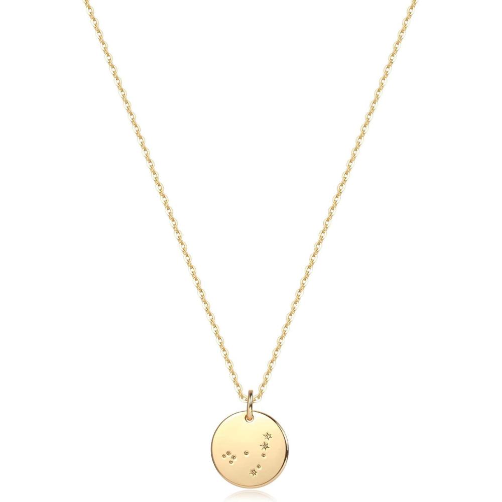 imageMEVECCO Gold Necklace Coin Disc Zodiac 12 Constellation Star Connected Engraved Horoscope Sign Astrology Pendant 18K Gold Plated Chain Dainty Personalized Simple JewelryCapricorn